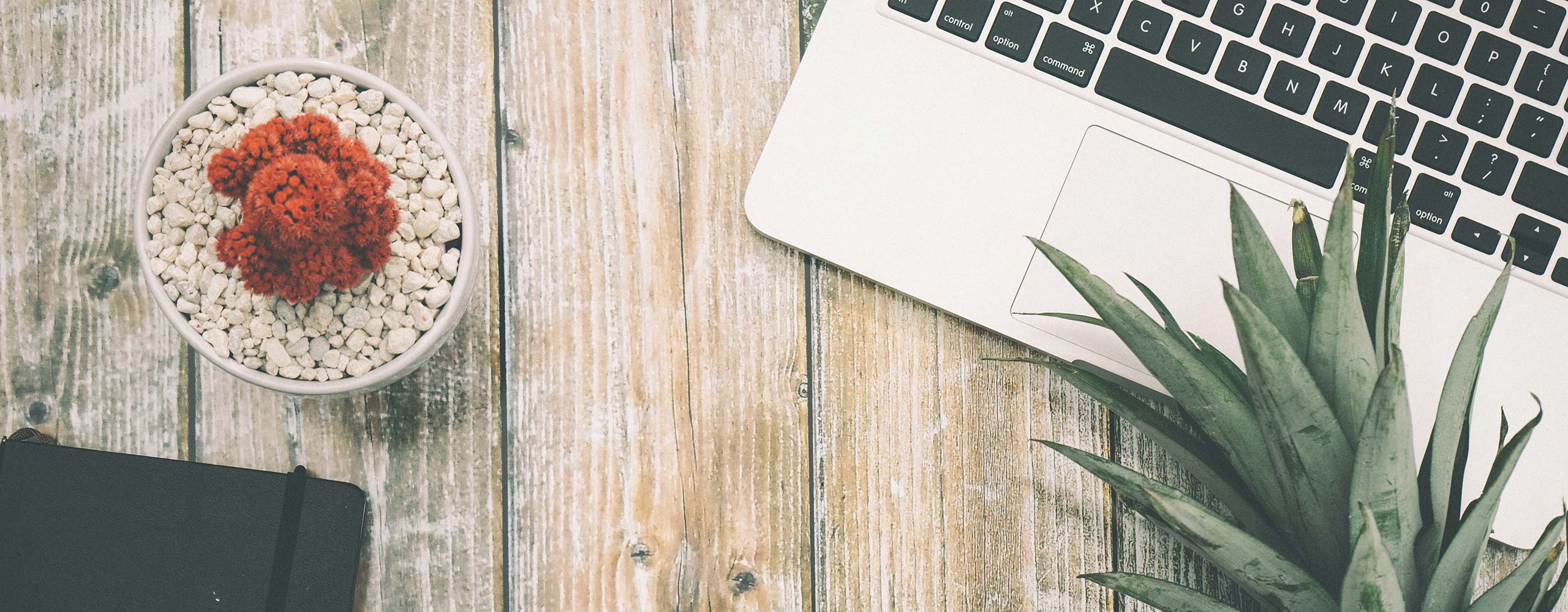 Wole Adeyeye Foundation